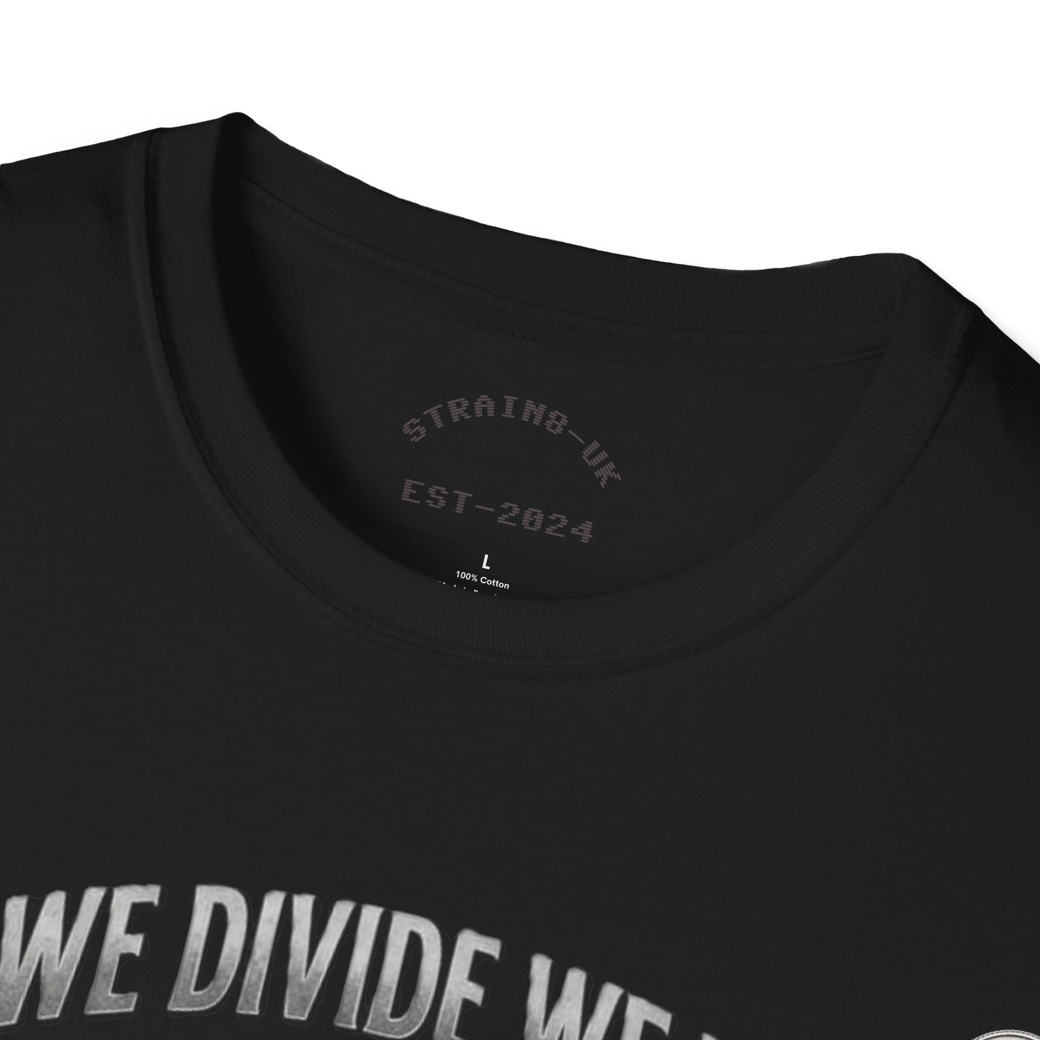 Strain8-UK If We Divide We Fall T-Shirt — Vintage Union Solidarity Graphic Tee